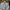 Polo Ralph Lauren Streetwear Y2K Formal shirt Pria white blue photo 2
