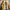 Y2K Indie Hoody Wanita cream yellow photo 6