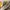 Y2K Indie Hoody Wanita cream yellow photo 5