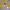 Y2K Indie Hoody Wanita cream yellow photo 3