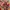 Guess top photo 2
