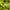 Jaket Outdoor Spieler photo 8