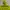 Jaket Outdoor Spieler