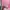 Renoma Sportswear Cami top Wanita pink photo 4