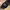 Caterpillar CAT Rental Store Zeppelin Strapback Baseball Cap photo 4