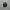 vans authentic full black photo 3