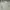 kaos panjang pria polos BACK NUMBER long sleeve pria khaki  photo 2