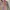 Y2K Avant Garde Track jacket Wanita multicolor photo 3