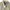 Casual Minimalist Harrington jacket Pria cream photo 2