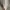 Casual Minimalist Harrington jacket Pria cream photo 4