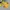 Jacket parka anak kuning r tobot lucu photo 5