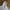 Rageblue Anorak Jacket smock cagoule photo 3