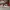 AIR JORDAN 1 HIGH RETRO OG SPIDERMAN ORIGIN STORY photo 1
