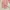 giordano bbpink jacket photo 3