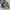Top Ten Streetwear Sweatshirt Pria Brown
