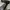 Remington Hair Dryer Jet setter 2000 photo 1