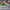 SB DUNK LOW SE FREE 99 MARKET photo 3