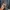 Trench coat erigo x albany new york collection photo 3