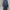 Trench coat erigo x albany new york collection photo 2