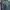 Trench coat erigo x albany new york collection photo 7