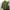 Minimalist Blazer Wanita green photo 1