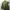 Minimalist Blazer Wanita green photo 5