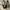 Sandal Nanda Milano photo 1
