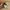 Adidas Sportswear Sneakers Pria multicolor photo 6