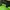 Adidas Sportswear Sneakers Pria multicolor photo 7