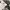 Nike Court Windbreaker Three Tone Hidden hooded photo 7