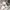 Nike Court Windbreaker Three Tone Hidden hooded photo 6