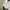 Nike Court Windbreaker Three Tone Hidden hooded photo 5