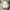 Nike Court Windbreaker Three Tone Hidden hooded photo 8