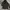 Jacket Parka Tactical A Bride Size S fit M photo 7
