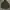 Jacket Vintage Who California America Since 1849 Look M65 XL photo 2