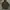 Jacket Vintage Who California America Since 1849 Look M65 XL photo 8