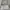 Coach Luxury Minimalist Handbag Wanita gold white photo 2