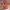 Terracotta Botanical Blouse photo 2