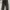 trackpants trustme photo 1