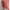 COLORBOX Coquette Casual Crop top Wanita pink photo 6