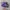 NIKE SB DUNK LOW CONCEPTS PURPLE LOBSTER SIZE 42 (26,5 CM) photo 4