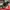 Nike Air Max TN Plus Utility Olive Green photo 8