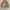 Jiwm Wowan Sherpa Cream Zip Fleece Jacket photo 1