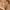 Jiwm Wowan Sherpa Cream Zip Fleece Jacket photo 6