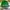 Topi Vintage New York Jets Blockhead photo 3