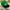 Topi Vintage New York Jets Blockhead photo 2