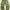 Streetwear Y2K Sweatpants & Joggers Pria green photo 5