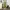 Streetwear Y2K Sweatpants & Joggers Pria green photo 1