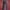 MANGO Vintage Gray Flared Pants photo 1