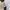 Long Pants Woman Jeans Hysteric Glamour size 27 photo 7